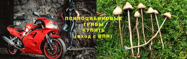 мет Арсеньев