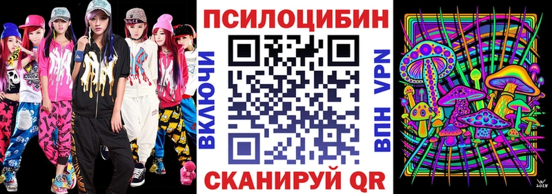 Псилоцибиновые грибы мицелий  Купить  Саянск 
